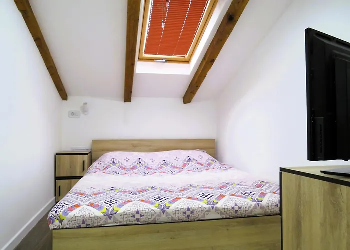 Duplex 29